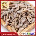 High Quality 2021 New Crop Sunflower Seeds Kernels